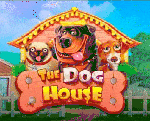 play the dog house in wishwin casino