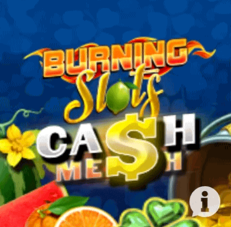 play burning slots in wishwin casino